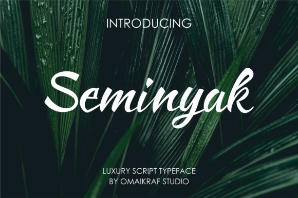 Choosing Seminyak for Campaign Clarity and Style