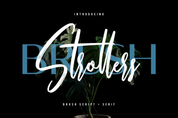 Strollers Font for Eye-Catching Digital Campaigns